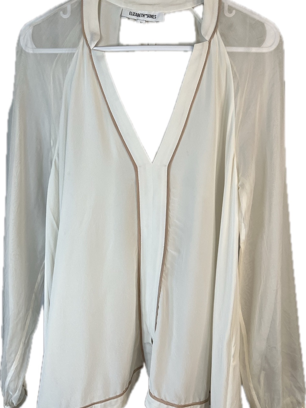 Elizabeth and James Flowy Silk Pleated V-Neck Sheer Sleeve Blouse